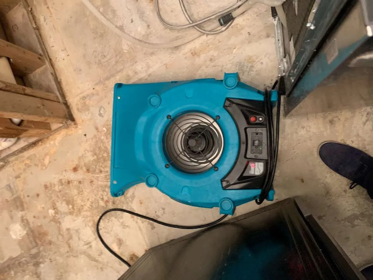 Air mover drying equipment for Mold Remediation & Removal in Jenks